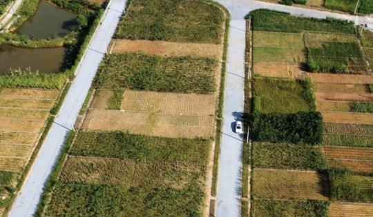 Quy định mới về thủ tục tách thửa đất