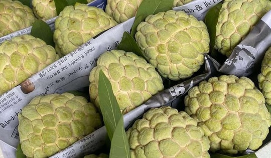 Na Lạng Sơn vào mùa, bà nội trợ Hà thành rộn ràng 'săn' đặc sản