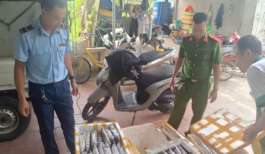 Thanh Hoá: Phát hiện hơn 1 tấn côn trùng, động vật bốc mùi hôi