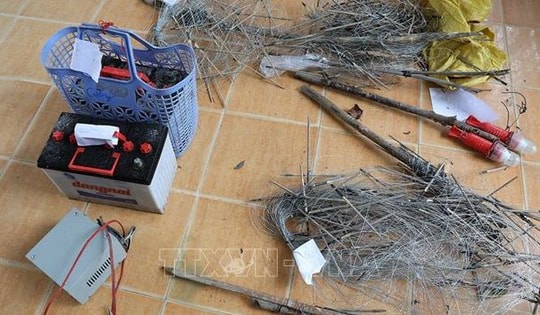 Tạm giữ hình sự hai đối tượng dùng điện bẫy chuột dẫn đến chết người