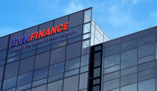 Thanh tra kết luận loạt vi phạm tại EVN Finance