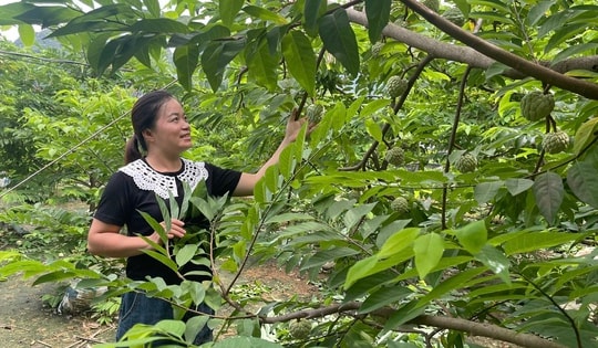 Bình đẳng giới, 'chìa khóa' để phát triển kinh tế gia đình