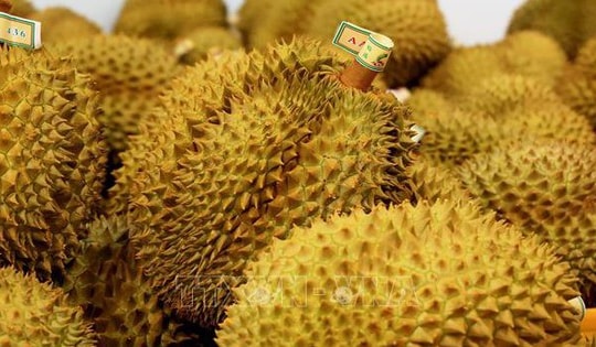 Xuất khẩu rau quả lấy lại đà tăng trưởng