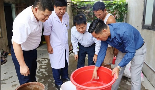 Dịch sốt xuất huyết tăng, Hà Tĩnh khẩn cấp phòng chống