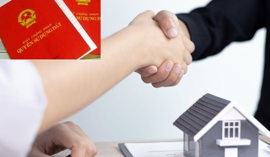 Các trường hợp không được nhận chuyển nhượng, tặng cho đất đai