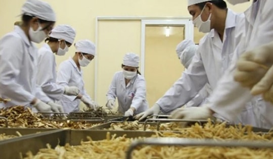 Đề xuất phân cấp giải quyết 28 thủ tục hành chính cho Cục Quản lý Y, Dược cổ truyền