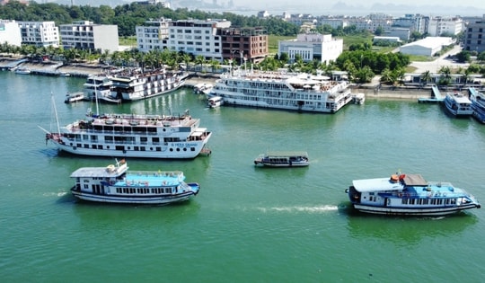 Quảng Ninh ngừng cấp phép tàu từ 13h chiều 24/8