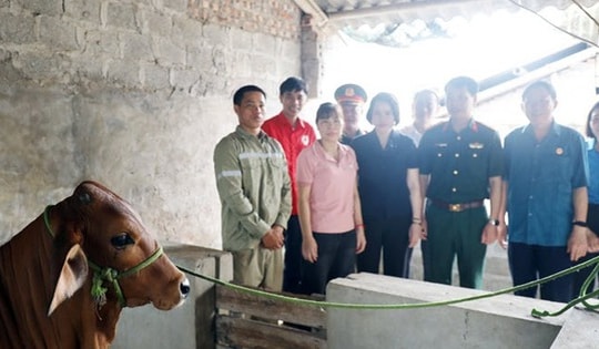 Hưng Yên: Đẩy mạnh giảm nghèo bền vững, lan tỏa an sinh đến từng hộ dân