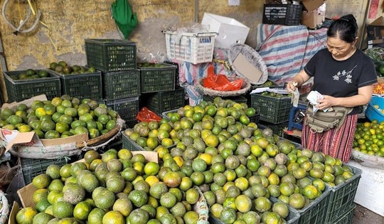 167 điểm kinh doanh tự phát làm xấu xí hình ảnh Thủ đô, nguyên nhân gì khiến 'chợ cóc' tồn tại dai dẳng?