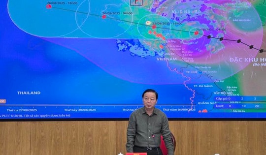 Lo ngại hệ thống đê biển vượt quá ngưỡng thiết kế khi bão số 5 đổ bộ