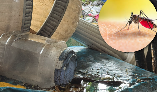 Sốt xuất huyết tăng 221% với hơn 26,000 ca, TPHCM quyết liệt ra quân diệt muỗi