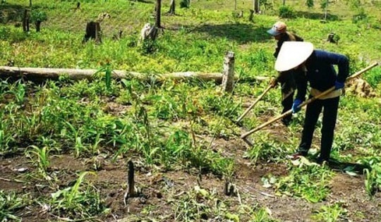 Quy định mới về sử dụng đất kết hợp đa mục đích