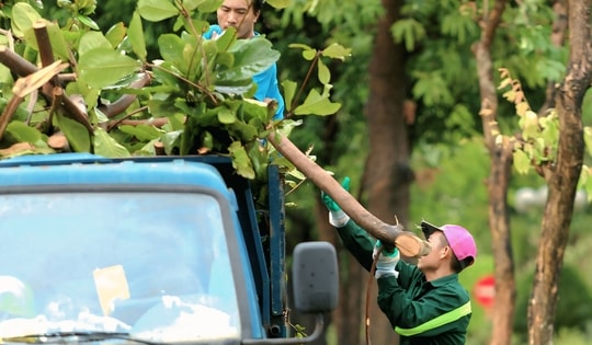 Nỗ lực giải tỏa nhiều tuyến phố Nghệ An sau bão