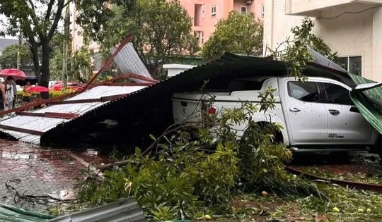 Cây đổ đè xe máy, ô tô… la liệt ở Nghệ An