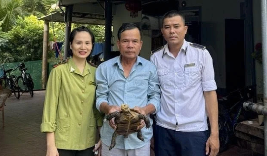 Cá thể rùa vừa được tái thả tại Quảng Trị quý hiếm ra sao?