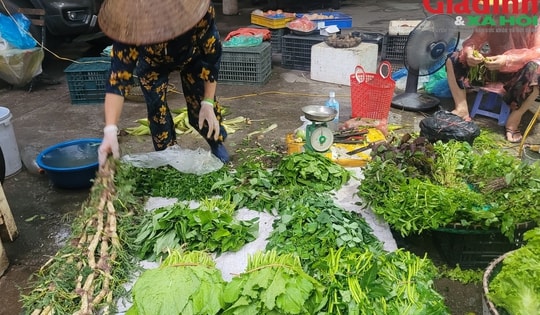 Rau xanh Hà Nội tăng giá gấp đôi vì ảnh hưởng bão số 5
