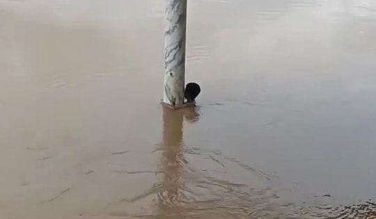 Cộng đồng mạng tranh luận câu chuyện cứu bé trai 'mắc kẹt' dưới sông Lam