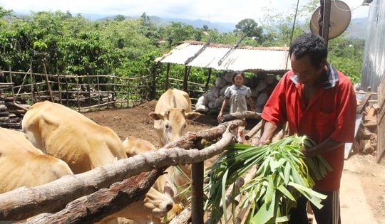 Phát triển vùng dân tộc thiểu số và miền núi, không để ai bị bỏ lại phía sau