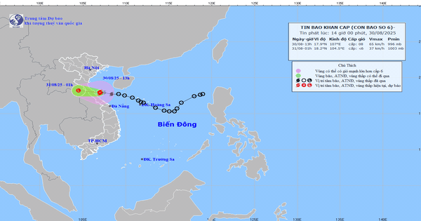 Sắp đổ bộ vào đất liền, bão số 6 gây mưa lớn đến 400mm