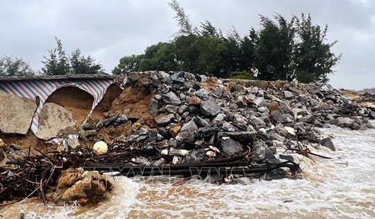 Bờ biển Quảng Trị sạt lở nghiêm trọng, hàng trăm hộ dân thấp thỏm trong mùa mưa bão