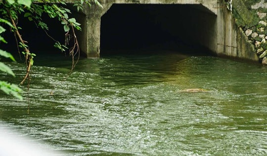 Sông Tô Lịch trong xanh chỉ là tạm thời?