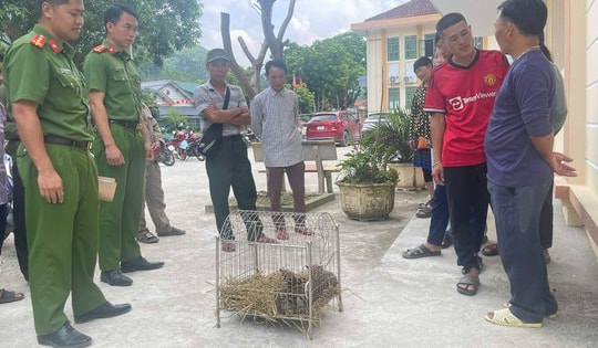 Đi làm nương, phát hiện động vật quý hiếm trong bao tải vứt ven đường