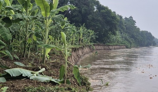 Thực hư thông tin 'vỡ đê Hữu Thao ở Phú Thọ' lan truyền trên mạng xã hội