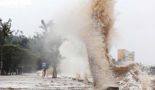 Khẩn cấp ứng phó với vùng áp thấp đang mạnh lên trên Biển Đông