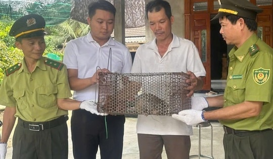 Phát hiện động vật quý hiếm bò vào vườn nhà, người đàn ông báo chính quyền