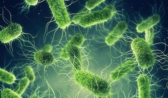 Tử vong do tả tăng 46% trên thế giới, Việt Nam ứng phó thế nào trước nguy cơ bệnh này có thể xâm nhập?
