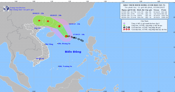 Cảnh báo dông lốc, gió giật mạnh do bão số 7