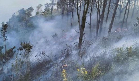 Nghệ An: Kịp thời khống chế cháy rừng trên núi Rồng