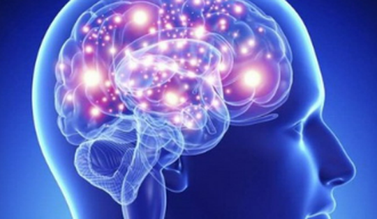 Bổ sung vitamin B – Bí quyết tăng cường năng lượng cho não bộ