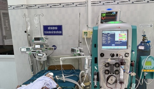 3 trẻ bị ong đốt, 1 cháu tử vong