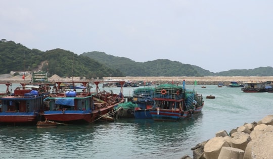 Bão số 7: Quảng Ninh tạm ngừng cấp phép tàu ra khơi một số khu vực biển từ 11h trưa 8/9