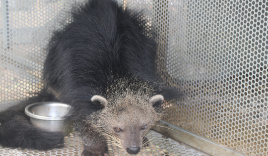 ‘Ngôi nhà đặc biệt’ của động vật quý hiếm