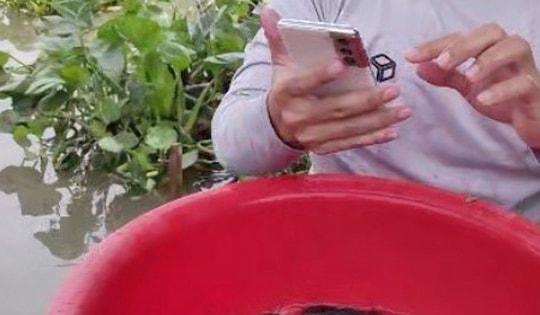 Lạ lùng hình thức phóng sinh online rằm tháng 7