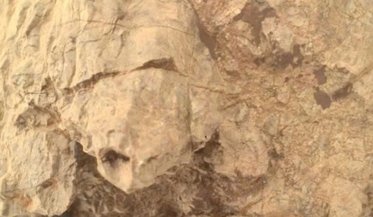 Phát hiện 'rùa đá thò đầu ra khỏi mai' trên Sao Hỏa