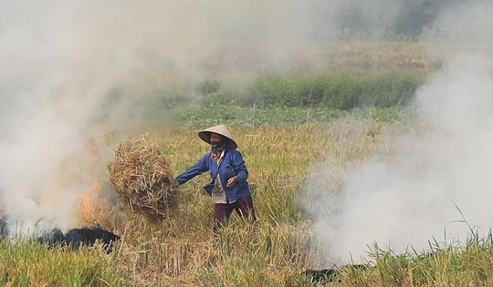 Dùng máy bay không người lái để phát hiện tình trạng đốt rơm rạ ở Hà Nội