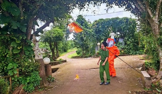 Tổ ong vò vẽ đốt nhiều cháu bé thương vong đã được xử lý