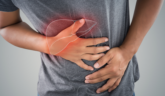 Gan – cơ quan dễ bị tổn thương khi mắc sốt xuất huyết