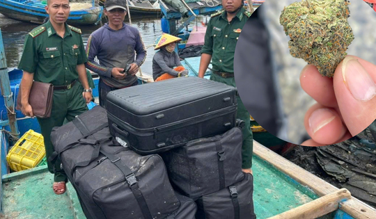 TPHCM: Ngư dân vớt được 81kg cần sa khô trôi trên biển