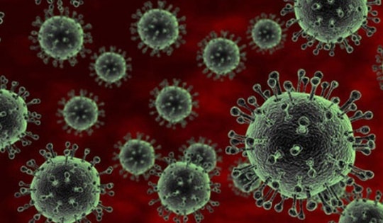 Virus RSV bùng phát nghiêm trọng tại Thái Lan