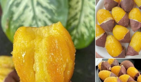 Loại khoai lang được gọi là 'sầu riêng' bán trăm nghìn một kg vẫn hút khách