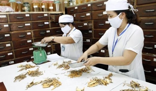 Thủ tướng chỉ đạo toàn diện phát triển y học cổ truyền Việt Nam trong giai đoạn mới