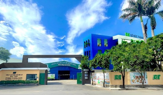 Gỗ Đức Thành bị phạt hơn 200 triệu đồng vì vi phạm chứng khoán