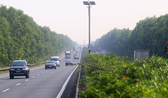 Trồng cây xanh làm dải phân cách đường cao tốc nên hay không?