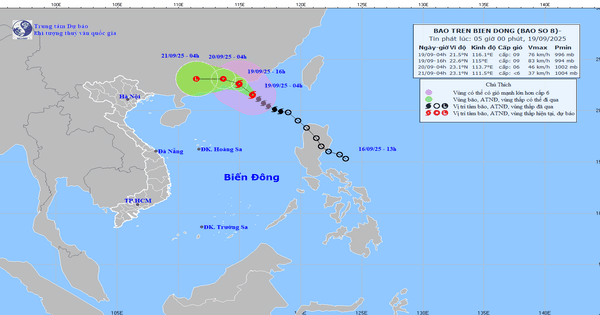 Cập nhật thông tin mới nhất về bão số 8