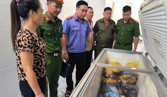 Nghệ An: Khởi tố đối tượng giết mổ, tiêu thụ thịt lợn nhiễm dịch tả châu Phi