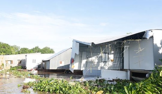 Sáu căn nhà ở Đồng Tháp bị sạt lở xuống sông Tiền